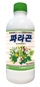 마운드
